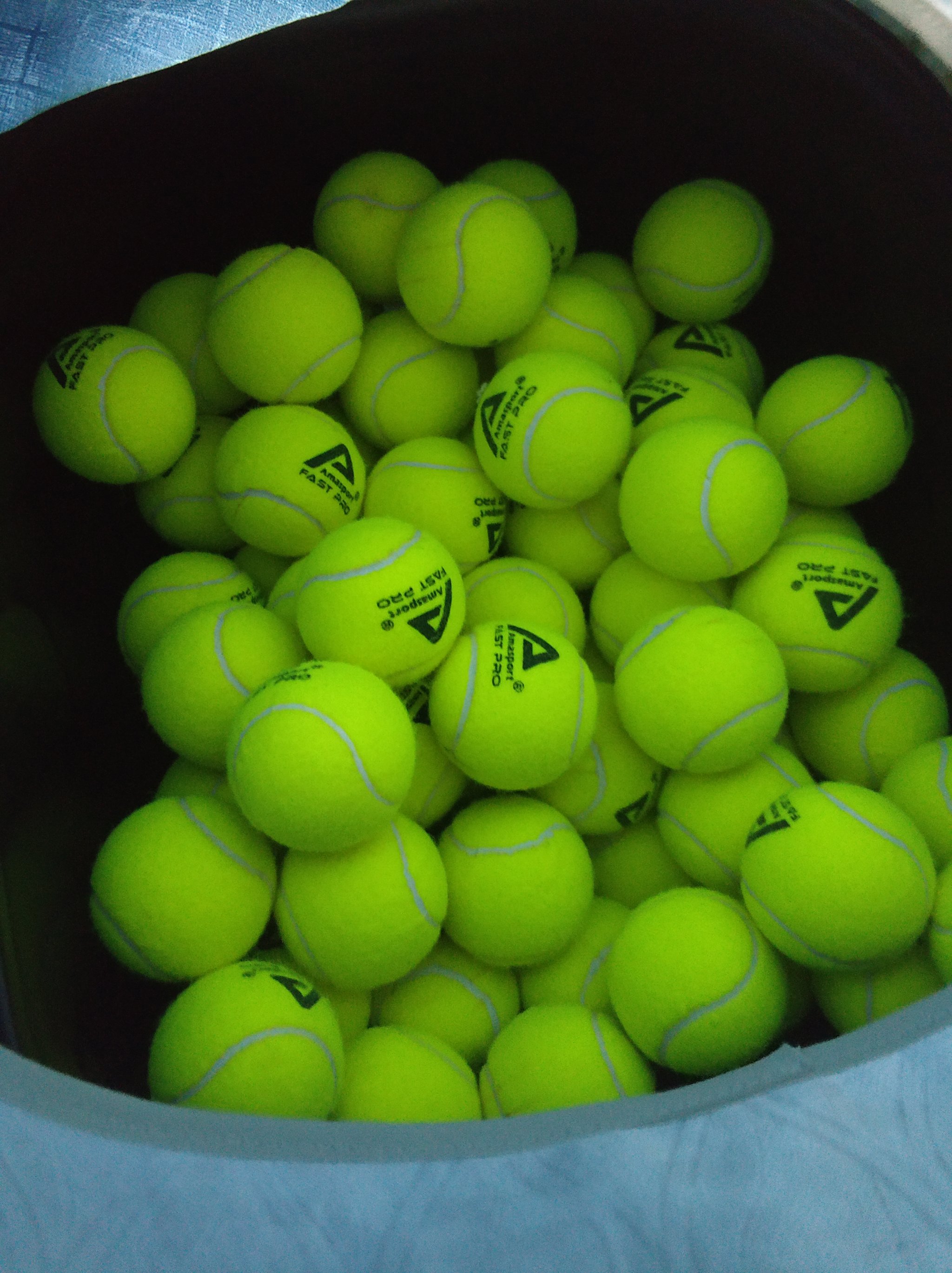 阵容保证能 阵容保证能